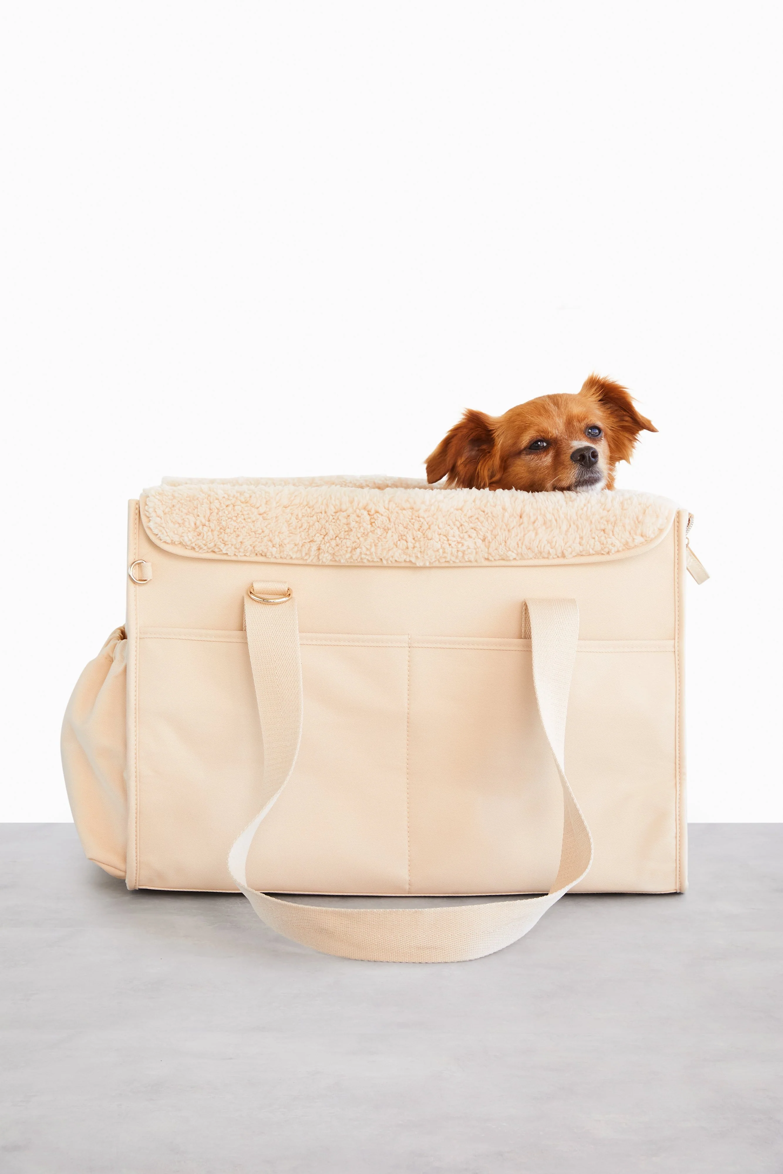 Resale The Everyday Pet Tote in Beige - Image 5
