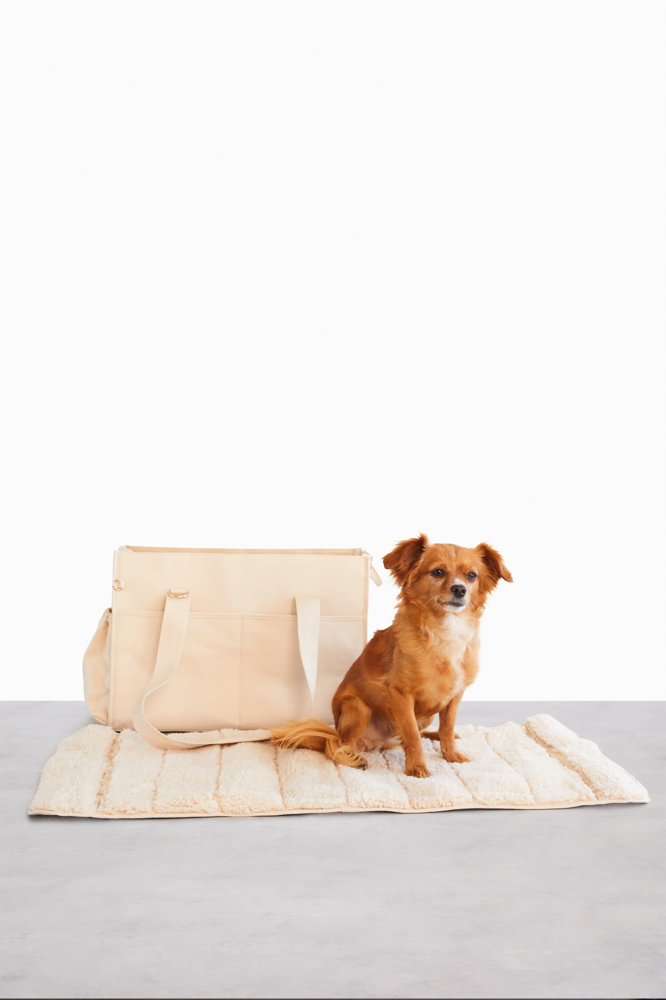 Resale The Everyday Pet Tote in Beige - Image 6