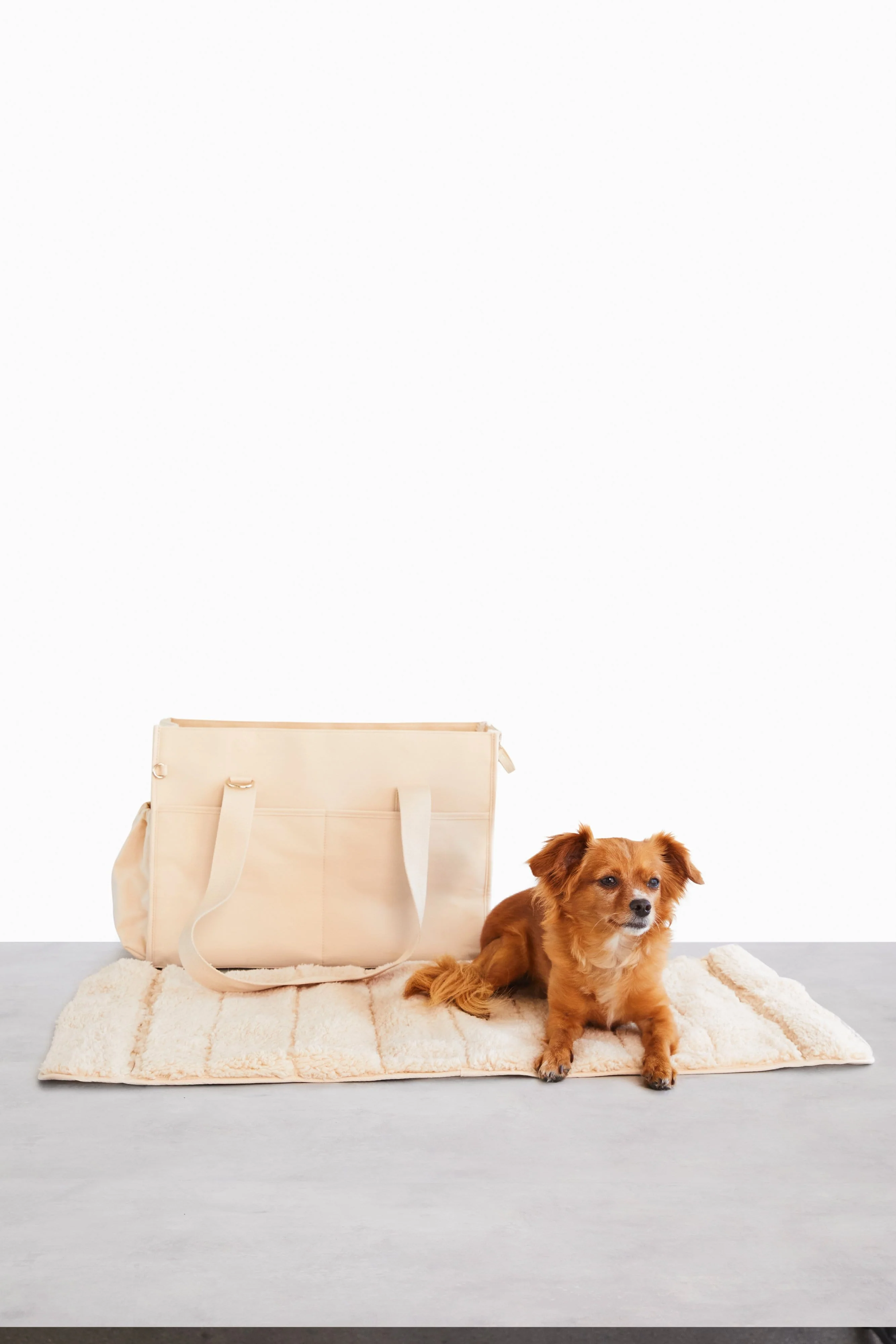 Resale The Everyday Pet Tote in Beige - Image 7