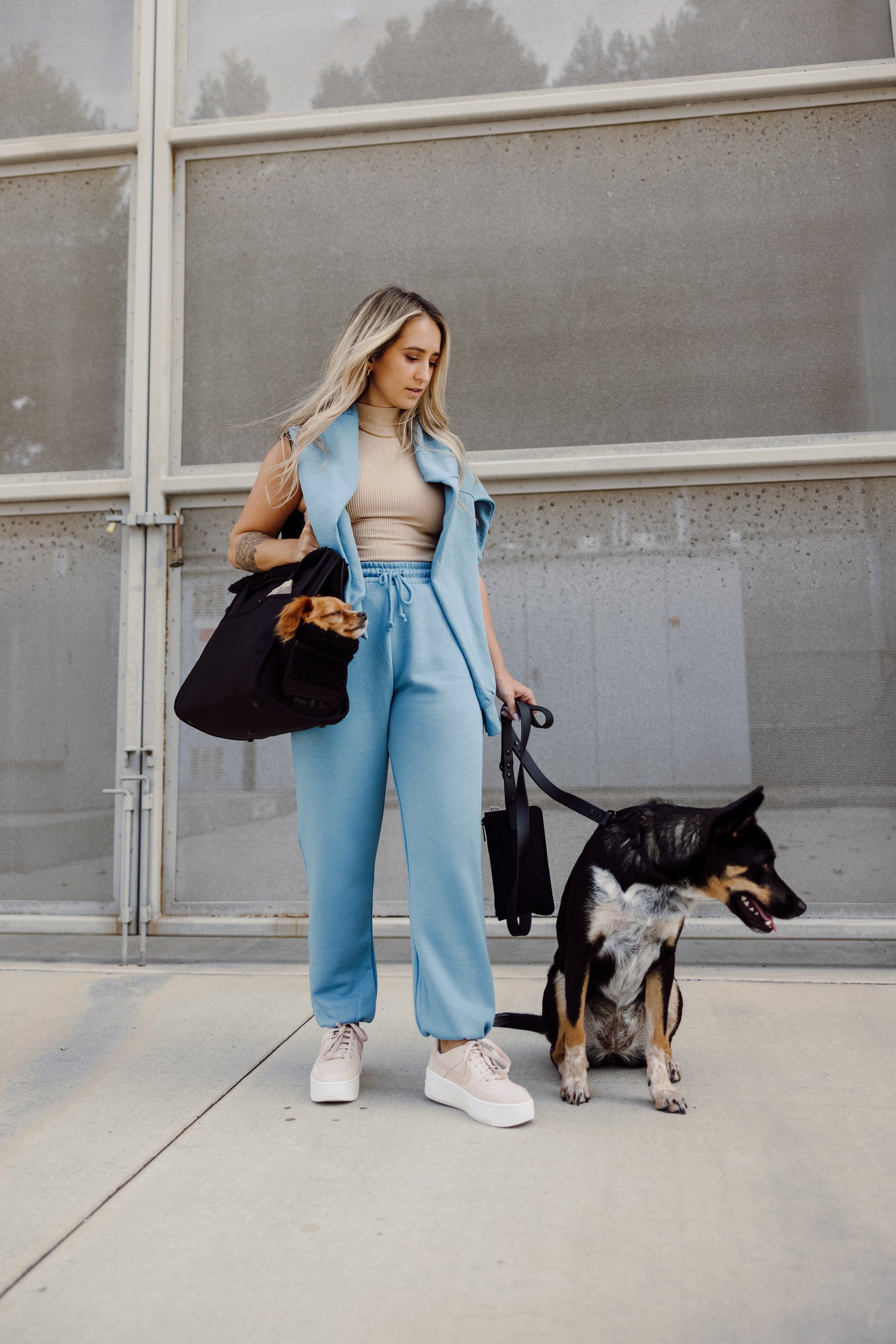 Resale The Everyday Pet Tote in Black - Image 11