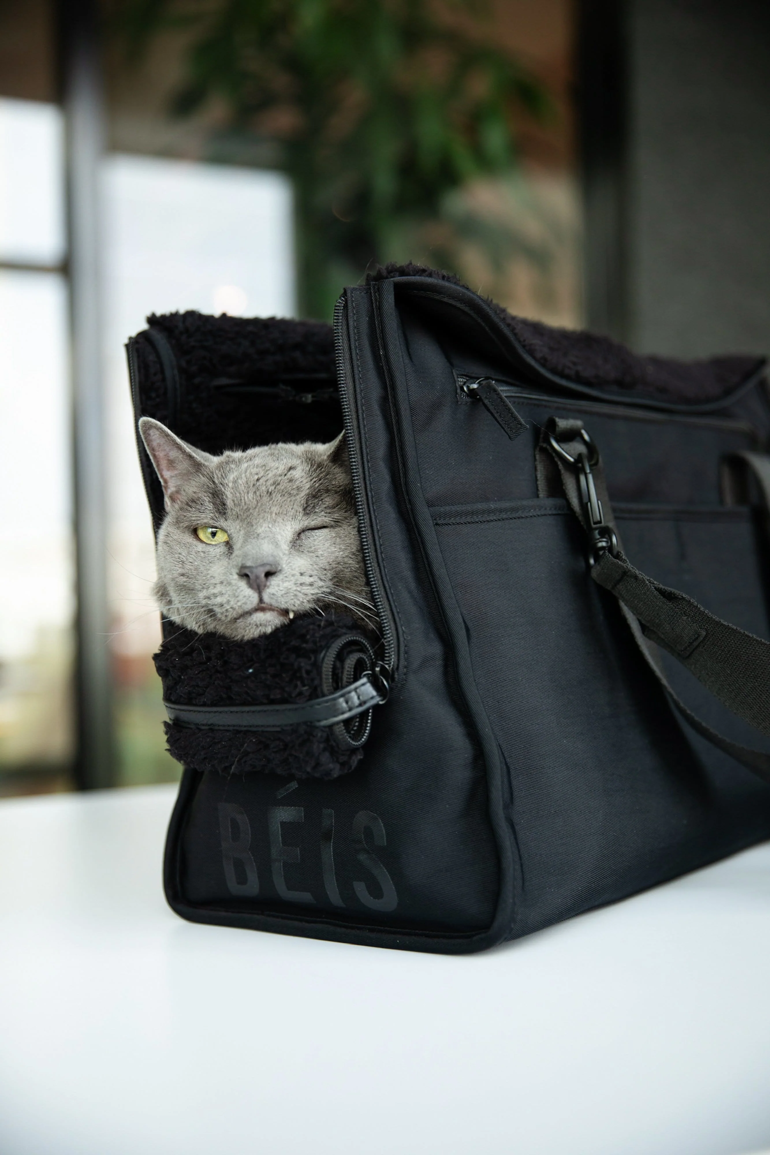 Resale The Everyday Pet Tote in Black - Image 13