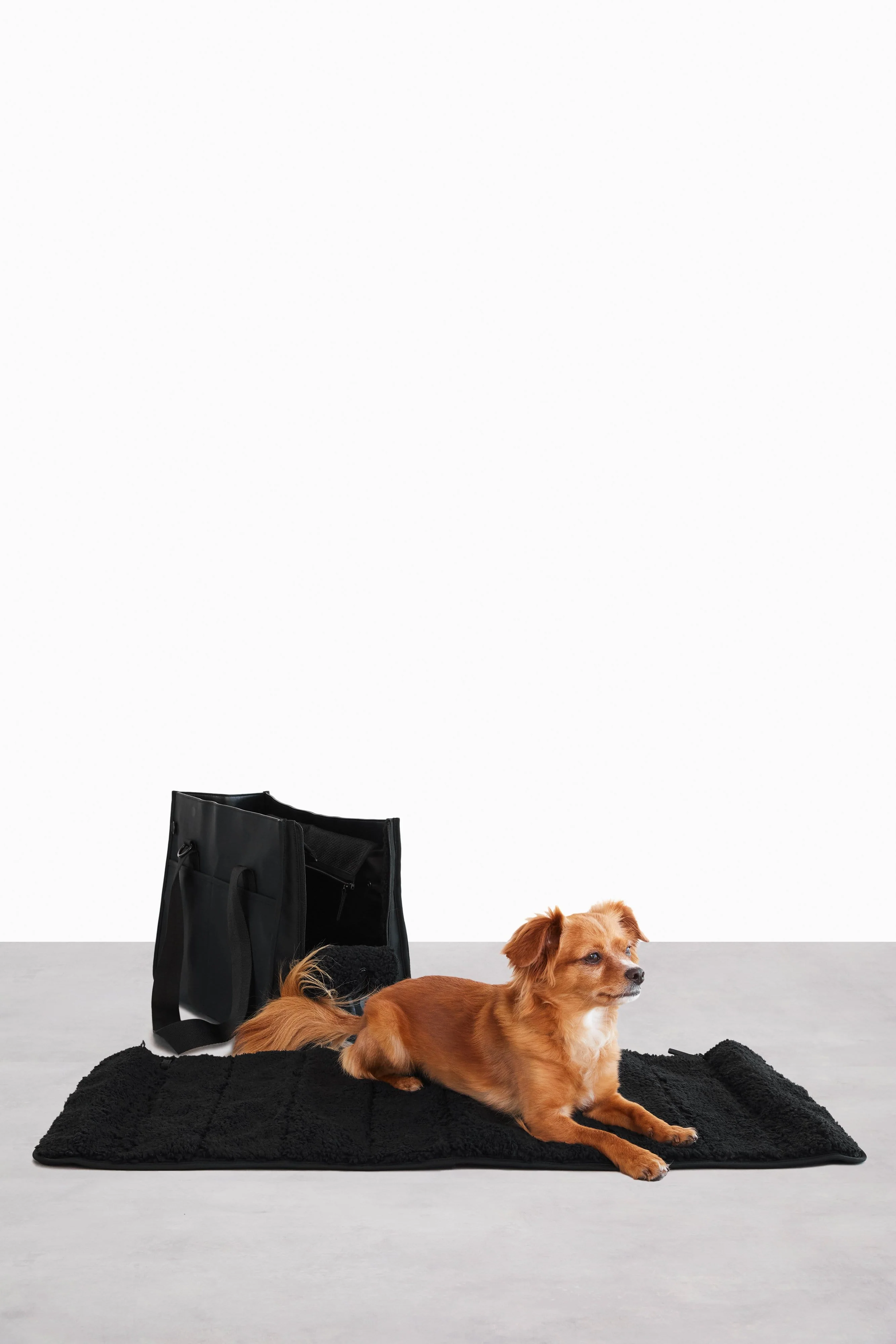 Resale The Everyday Pet Tote in Black - Image 5