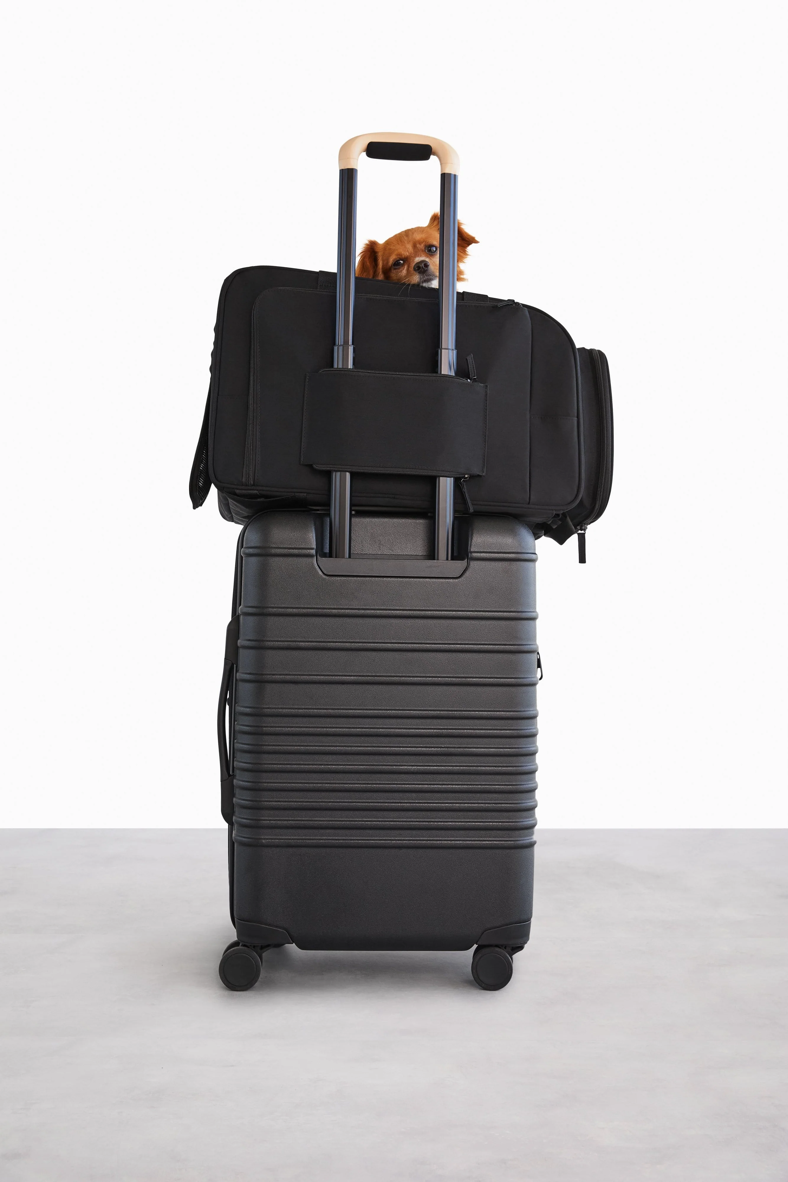 Resale The Regulation Pet Carry-on in Black - Image 8